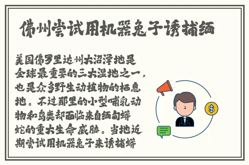 久久精品国产99国产精品澳门